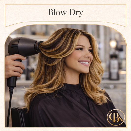 Ladies Blow Dry